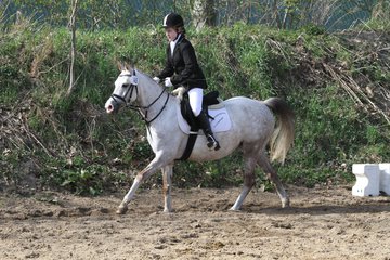Bild 1183 - WBO-Turnier am 9.4.11